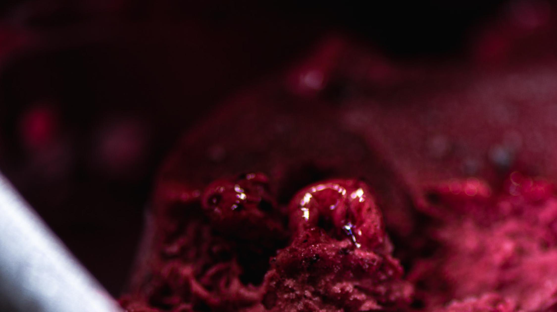 Sorbet de frutas vermelhas